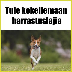 Tule kokeilemaan harrastuslajia