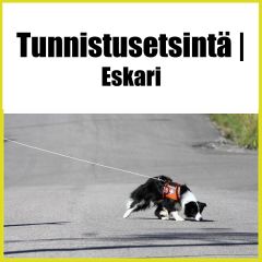 Tunnistusetsintäeskari