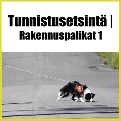 Tunnistusetsintä | Rakennuspalikat 1