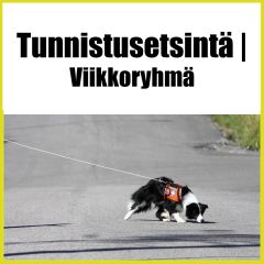 Tunnistusetsintä | Viikkoryhmä