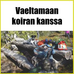 Vaeltamaan koiran kanssa
