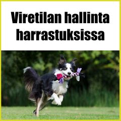 Viretilan hallinta harrastuksissa