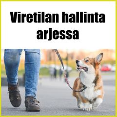 Viretilan hallinta arjessa