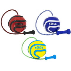 Kong Wavz Bunji Ball Dog Toy