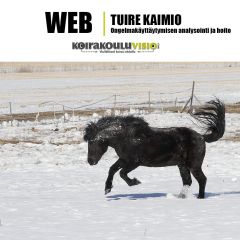 Tuire Kaimio: kaaviot