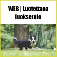 Luotettava luoksetulo