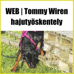 WEB | Tommy Wiren | Hajutyöskentely
