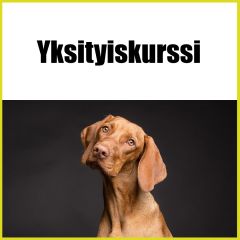 Yksityiskurssi