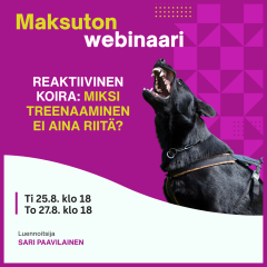 Maksuton webinaari: Miksi treenaaminen ei aina riitä?