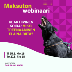 Maksuton webinaari: Miksi treenaaminen ei aina riitä?
