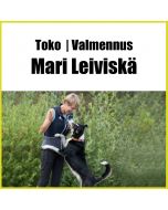 Toko | Mari Leiviskän valmennus