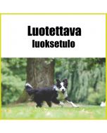 Luotettava luoksetulo