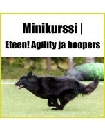 Agility ja Hoopers | Eteen! Irtoamisen minikurssi