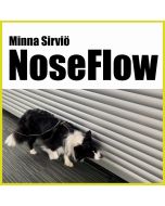 Minna Sirviö | NoseFlow