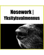 Nosework | Yksityisvalmennus