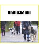 Ohituskoulu