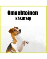 Omaehtoinen käsittely