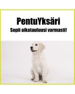 Pentuyksäri