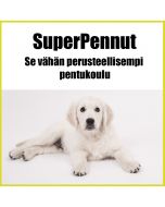 Pentukoulu | SuperPennut 15 krt