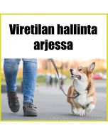 Viretilan hallinta arjessa
