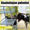 Kouluttajan palvelut tilavuokrauksen yhteydessä