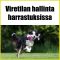 Viretilan hallinta harrastuksissa