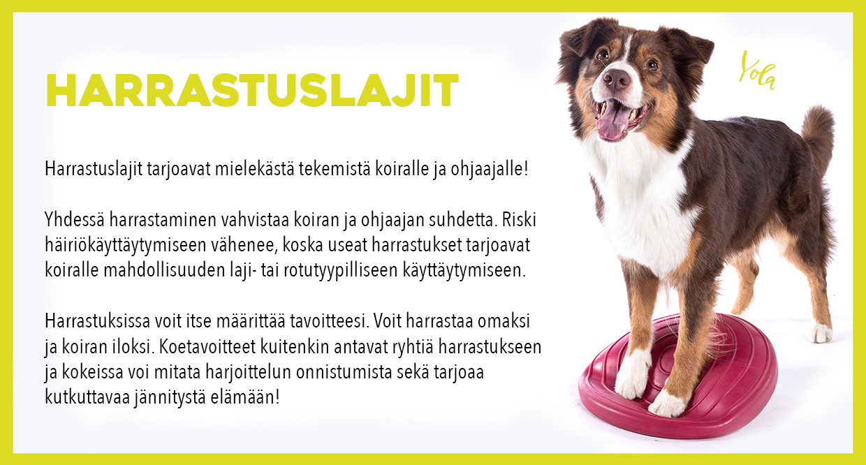 Harrastuslajit