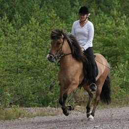 Sari hevosensa Spennan kanssa