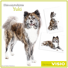 Eläinnäyttelijätär Yuki