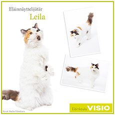 Eläinnäyttelijätär Leila