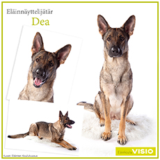 Eläinnäyttelijätär Dea