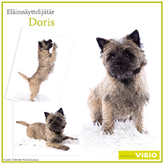 Doris