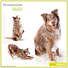 Melli