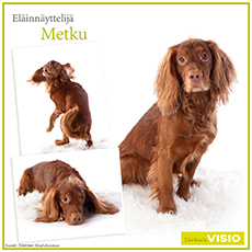 Metku