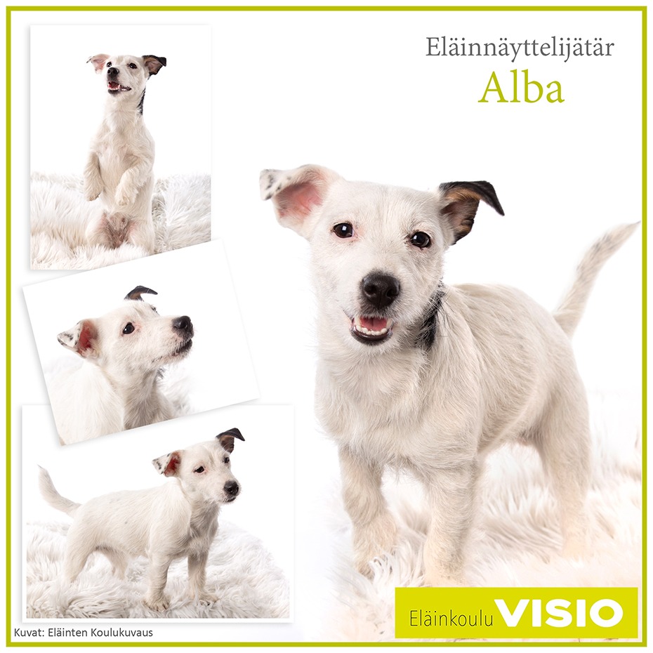 Eläinnäyttelijätär Alba