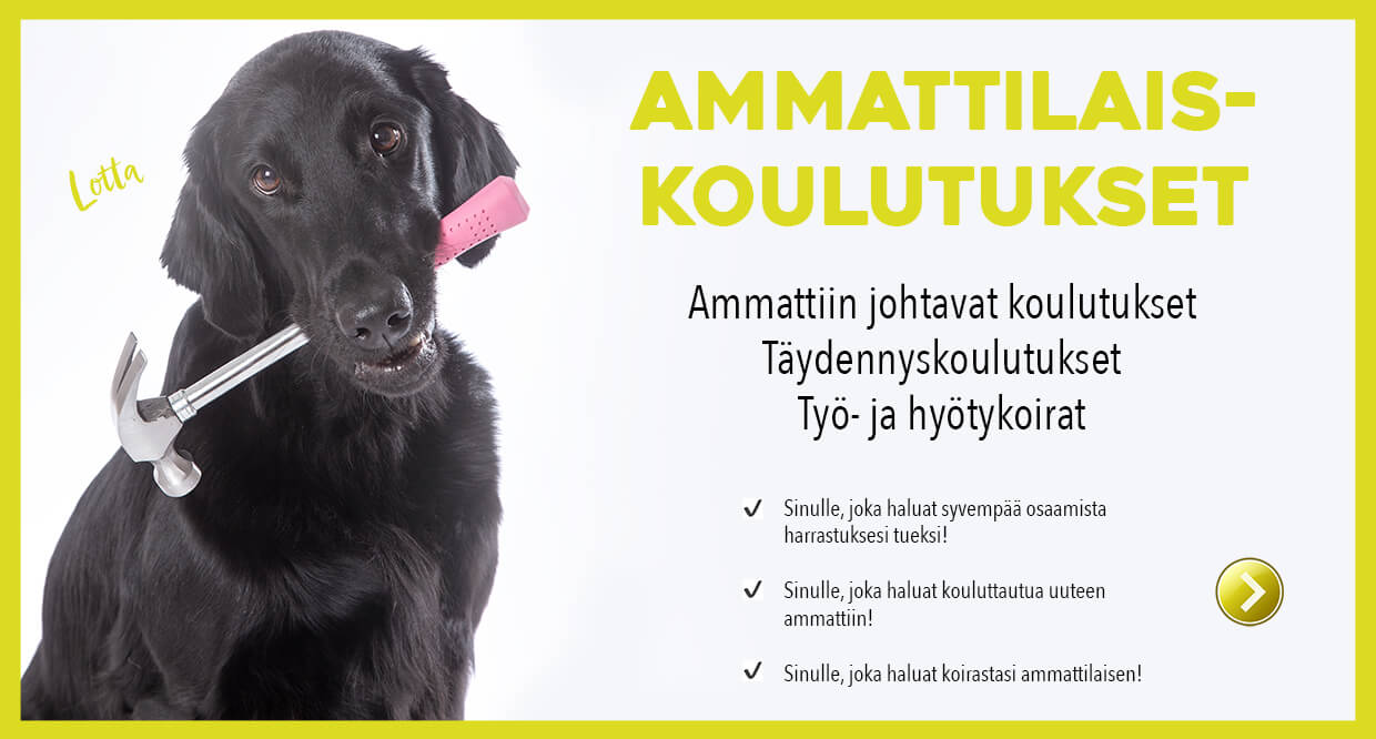 Koulutukset ammattilaisille