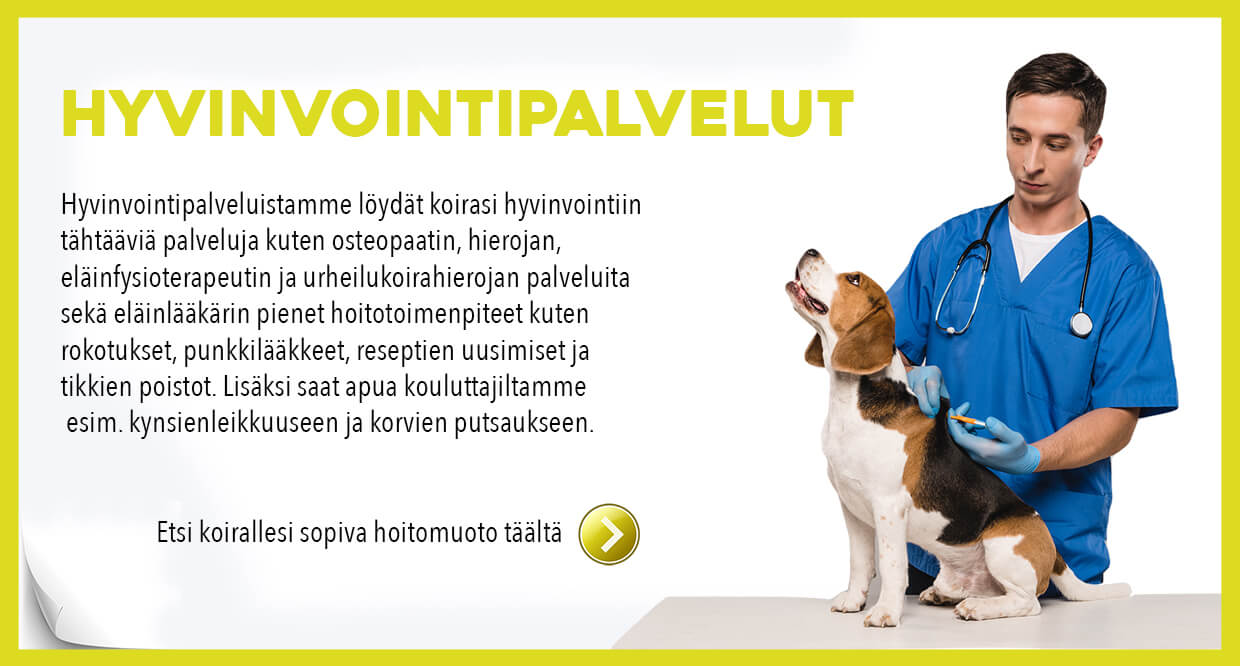 Hyvinvointipalvelut Hyvinvointipalvelut